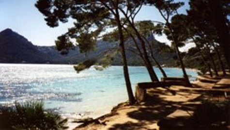 Mallorcabild